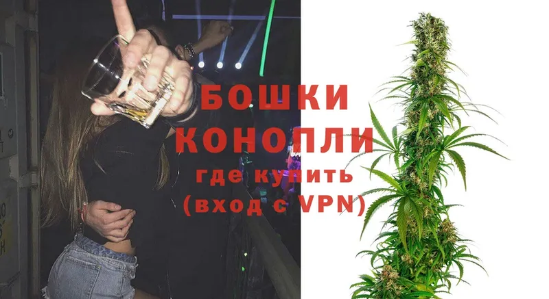 Бошки Шишки SATIVA & INDICA  blacksprut маркетплейс  Котельники  как найти наркотики 